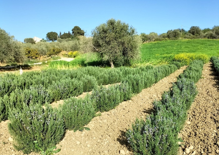 Agrigento3A Un Progetto Innovat