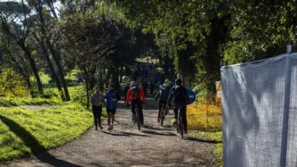 Allerta Per L27Abbattimento Di