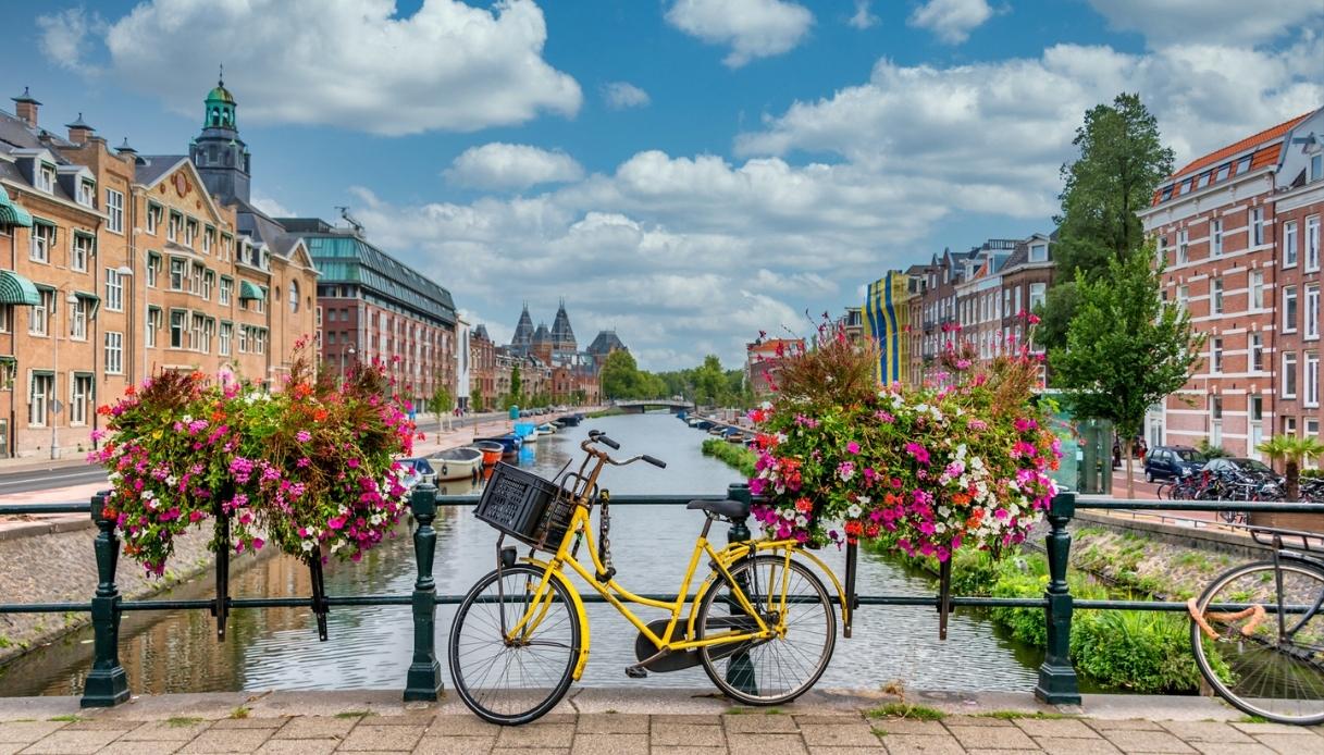 Amsterdam3A Il Farc3B2 Della Soste