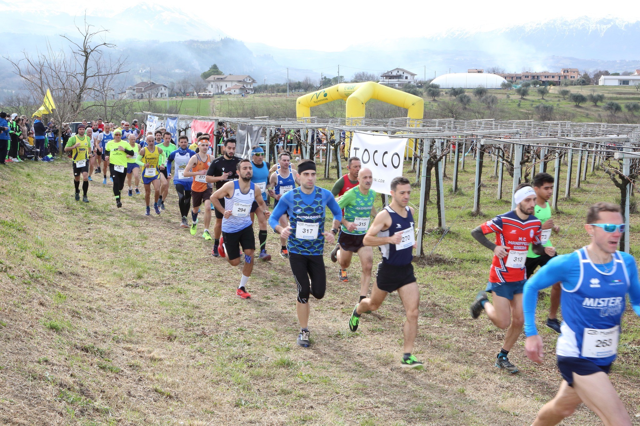 Atleti In Grembo Tra I Vigneti