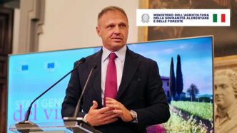 Attacco Vandalico Al Vigneto S