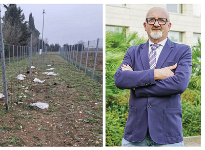 Atto Vandalico Distrugge Vigne