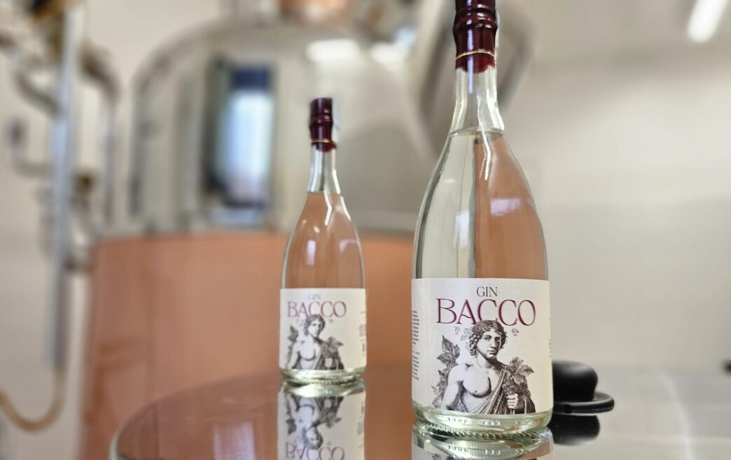 Bacco Gin3A L27Innovativo Gin Ab