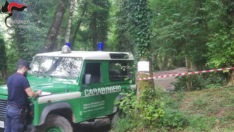 Bilancio 2024 Dei Carabinieri