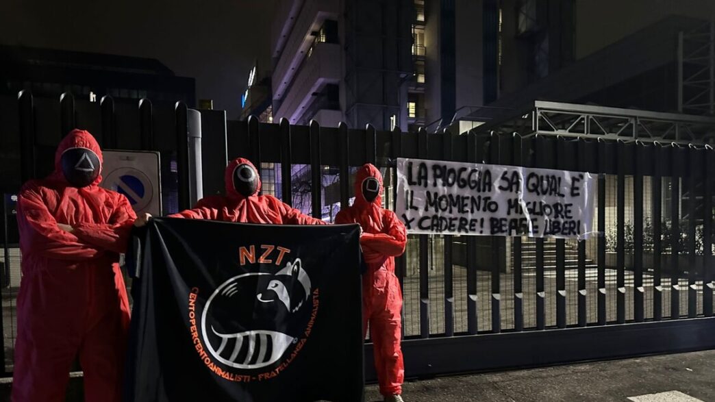 Blitz Animalista A Verona3A Pro
