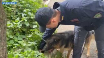 Blitz Antidroga A Tor Bella Mo