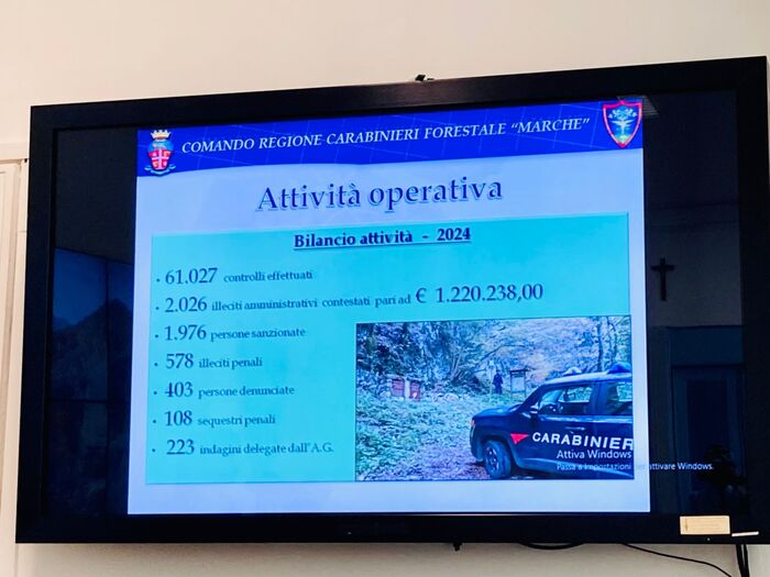 Calo Dei Controlli Ma Aumento