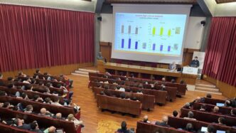 Calo Della Produzione Di Uva I
