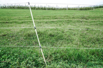 Cani Molecolari E Agricoltori