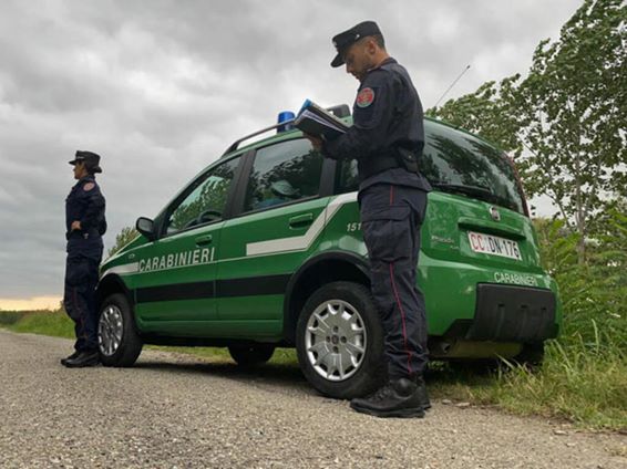 Carabinieri Forestali In Azion