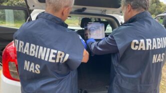 Carabinieri Del Nas Di Bologna