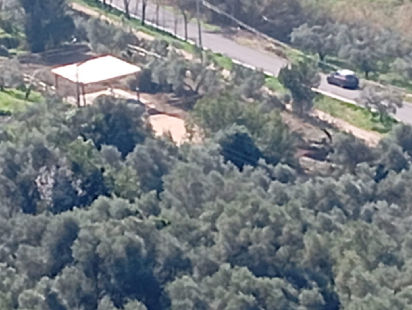 Carabinieri Di Sermoneta Ferma