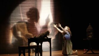 Celebrazioni Per Maurice Ravel