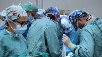 Collaborazione Tra Istituto Gi