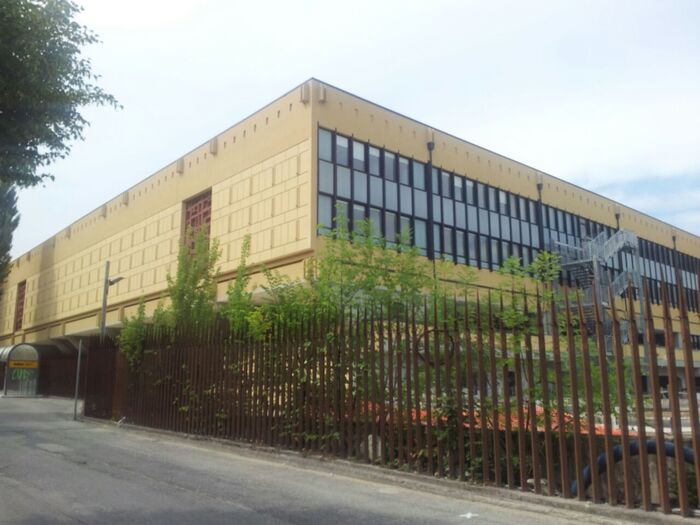 Condanna Per La Donna Alla Gui