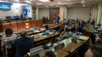 Consiglio Regionale Della Basi