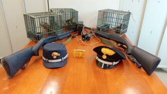 Controlli Intensificati In Cam
