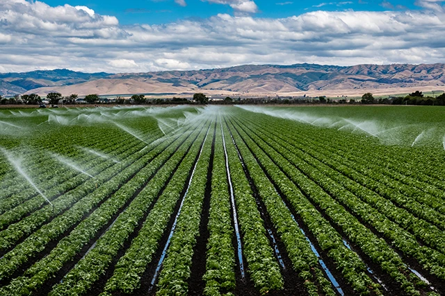 Convegni Sul Futuro Dell27Agric