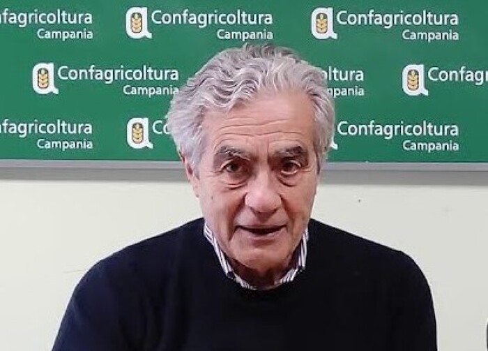 Convegno Sulla Gestione Sosten