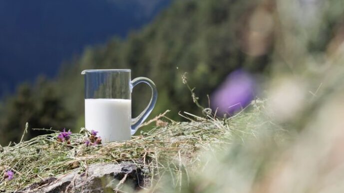 Cresce La Produzione Del Latte