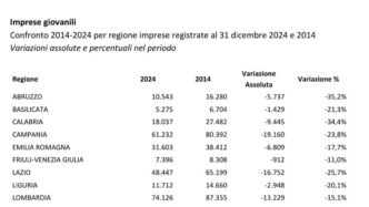 Crisi Delle Imprese Giovanili