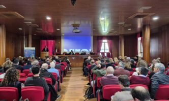 Critiche Al Decreto Correttivo