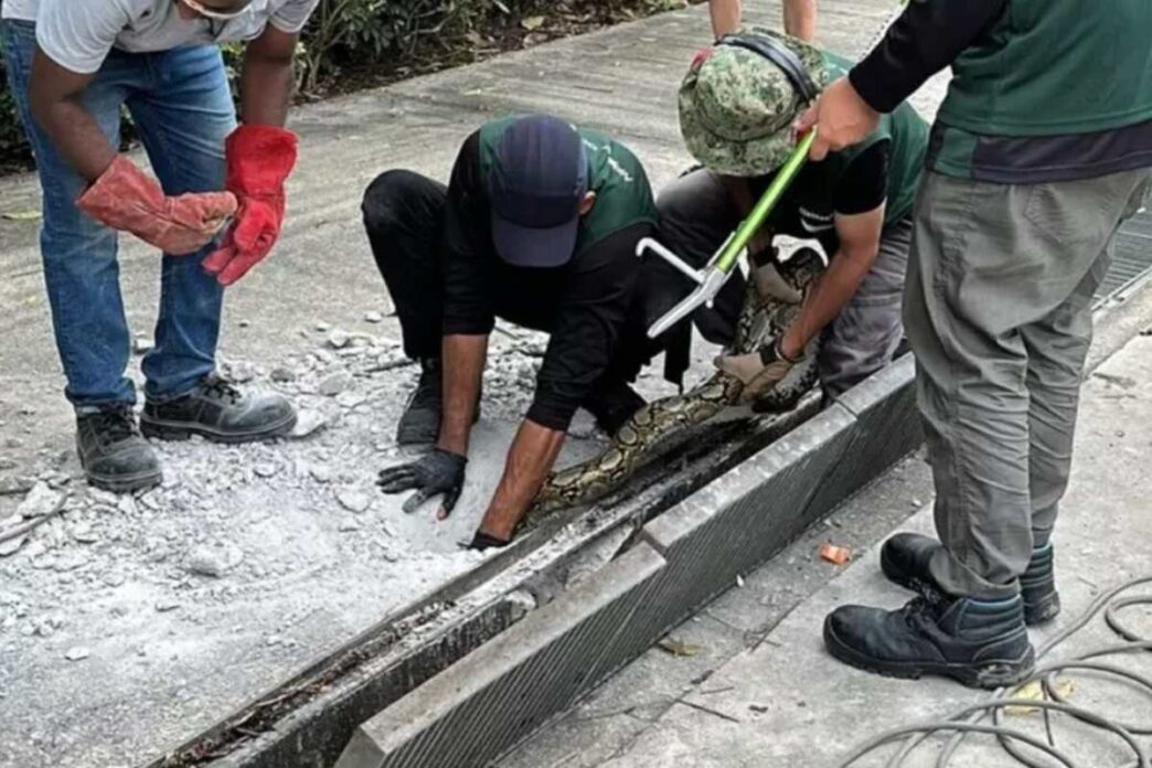 Cronaca Internazionale3A Ricerc