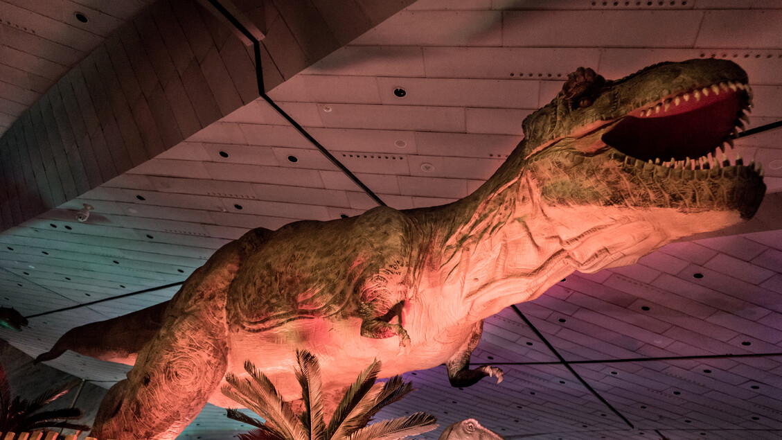 Dinosaurs Live3A La Mostra Giur