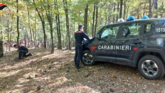 Due Denunciati Per L27Abbattime