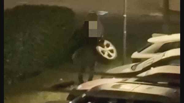 Due Giovani Albanesi Arrestati
