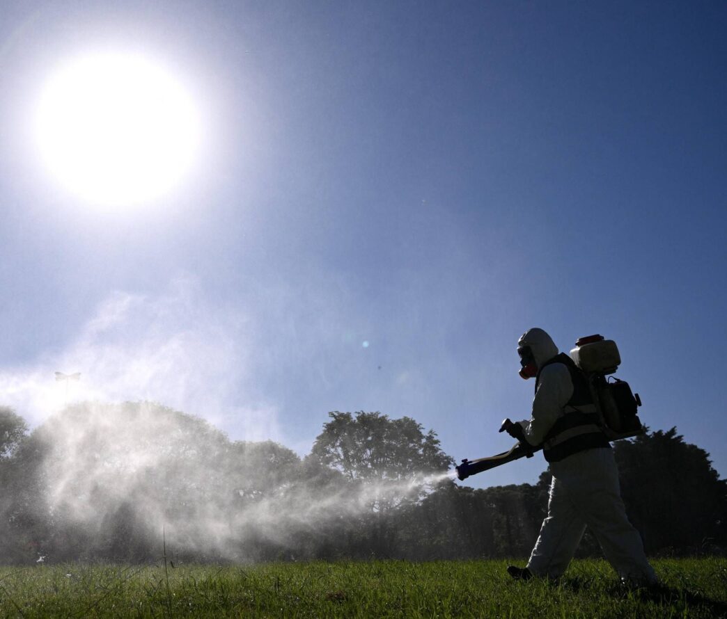 Emergenza Febbre Dengue In Ita