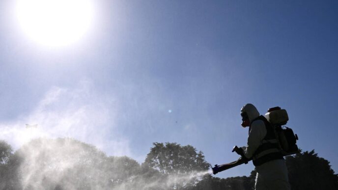 Emergenza Febbre Dengue In Ita
