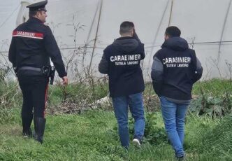Falsitc3A0 Nei Documenti3A Denunce