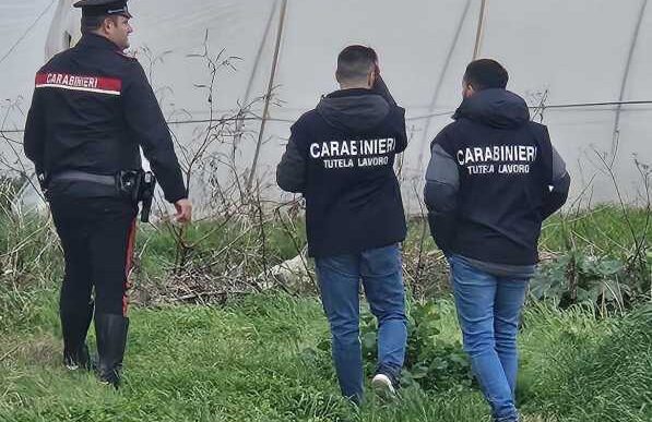 Falsitc3A0 Nei Documenti3A Denunce