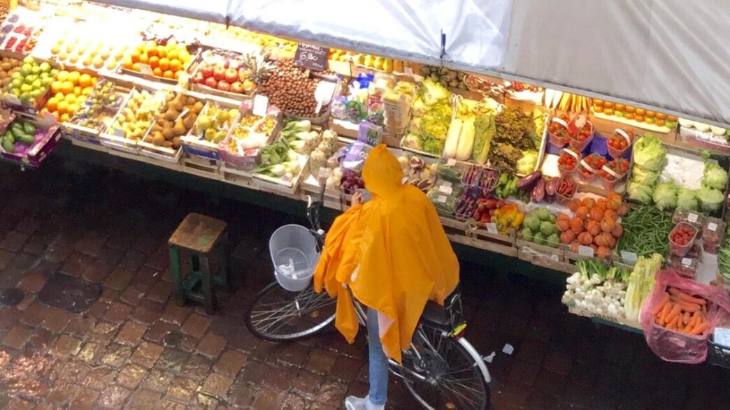 Fiducia Dei Consumatori In Alt
