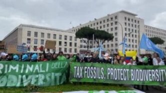 Flash Mob Per La Biodiversitc3A03A