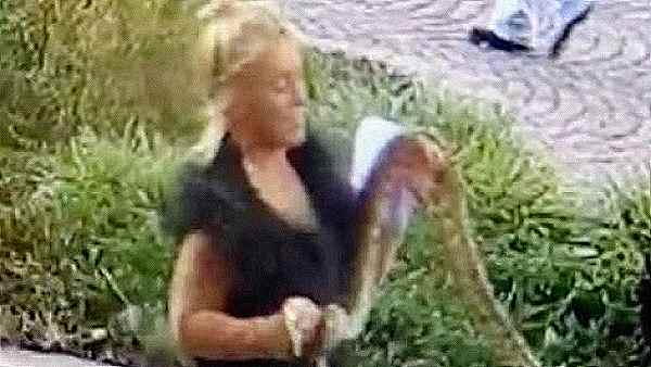 Follia A Merano3A Tabaccaia Ins