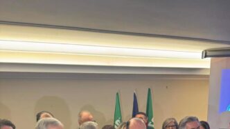 Forza Italia Punta Su Fulvio M