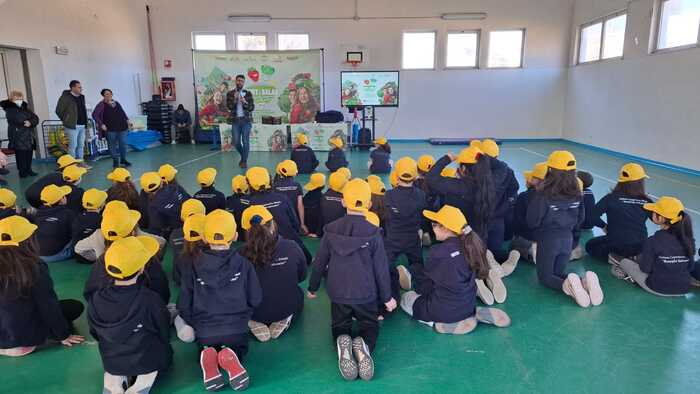 Fruit And Salad School Games3A