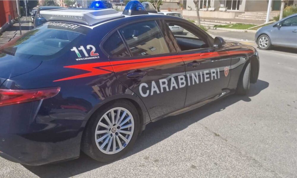 Furto Di Generi Alimentari Ad
