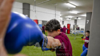 Grande Evento Di Boxe E Savate