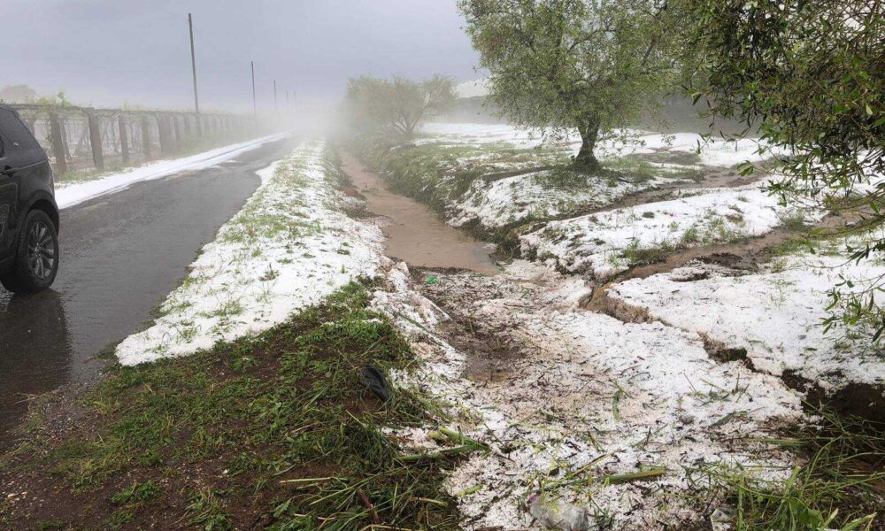 Grandinata Del 14 Febbraio3A Il