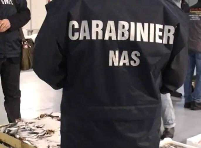 Gravi Violazioni Sanitarie Ril