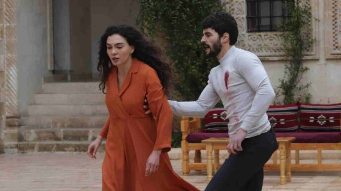Hercai - Amore E Vendetta 2 Anticipazioni