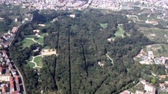 Il Real Bosco Di Capodimonte S
