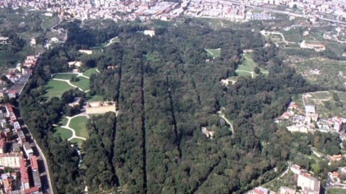 Il Real Bosco Di Capodimonte S
