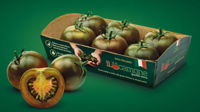 Il Camone3A Una Delizia Italian