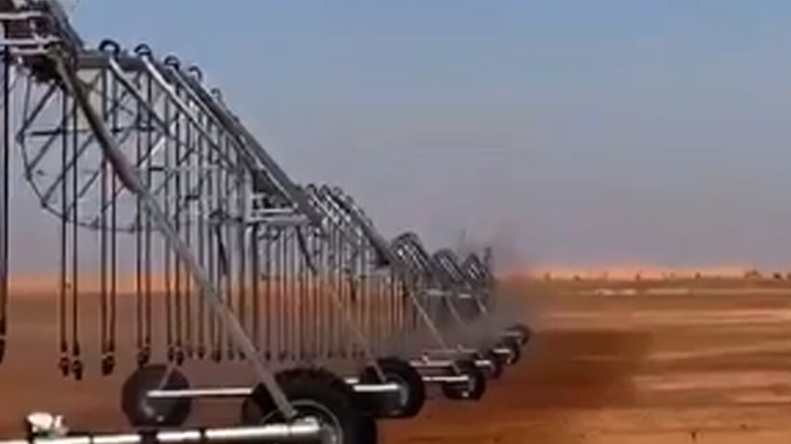 Il Progetto Agricolo Di Bf Al