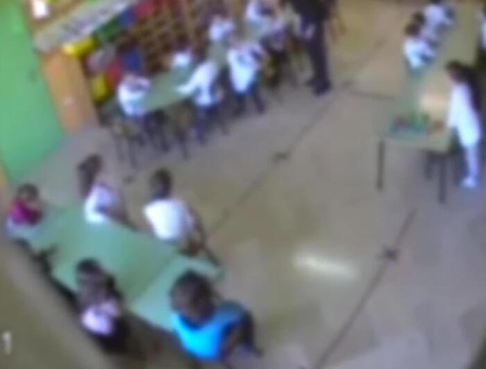 Inchiesta Su Presunti Maltratt