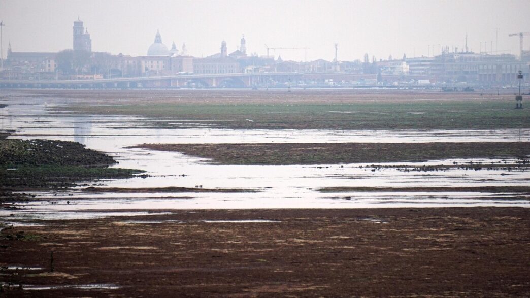 Indagini Sul Comune Di Venezia